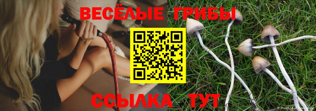 Галлюциногенные грибы Psilocybe Пыть-Ях
